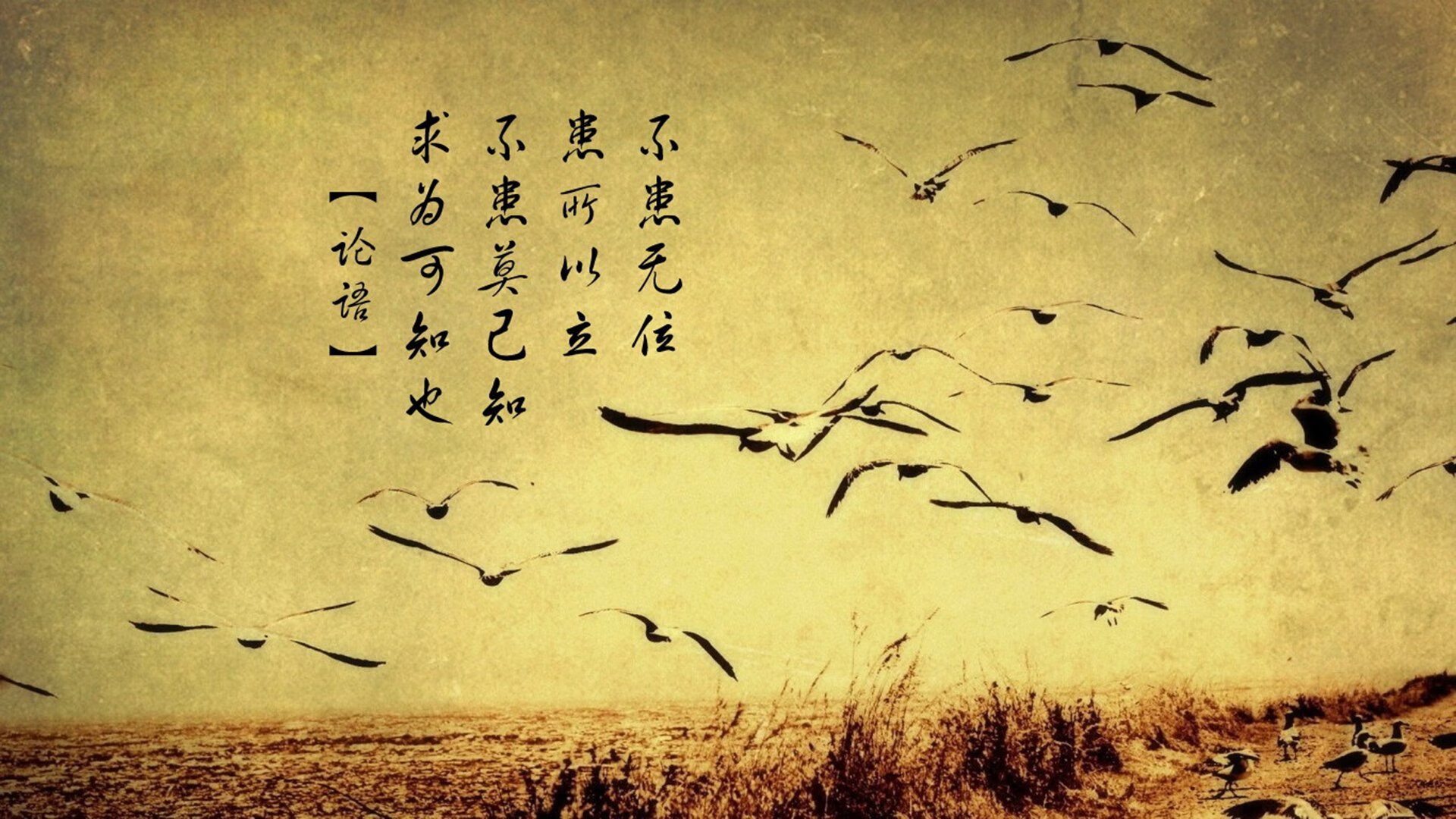 九游娱乐官方-国家队备战时间不足的影响，国家队备战保障产品