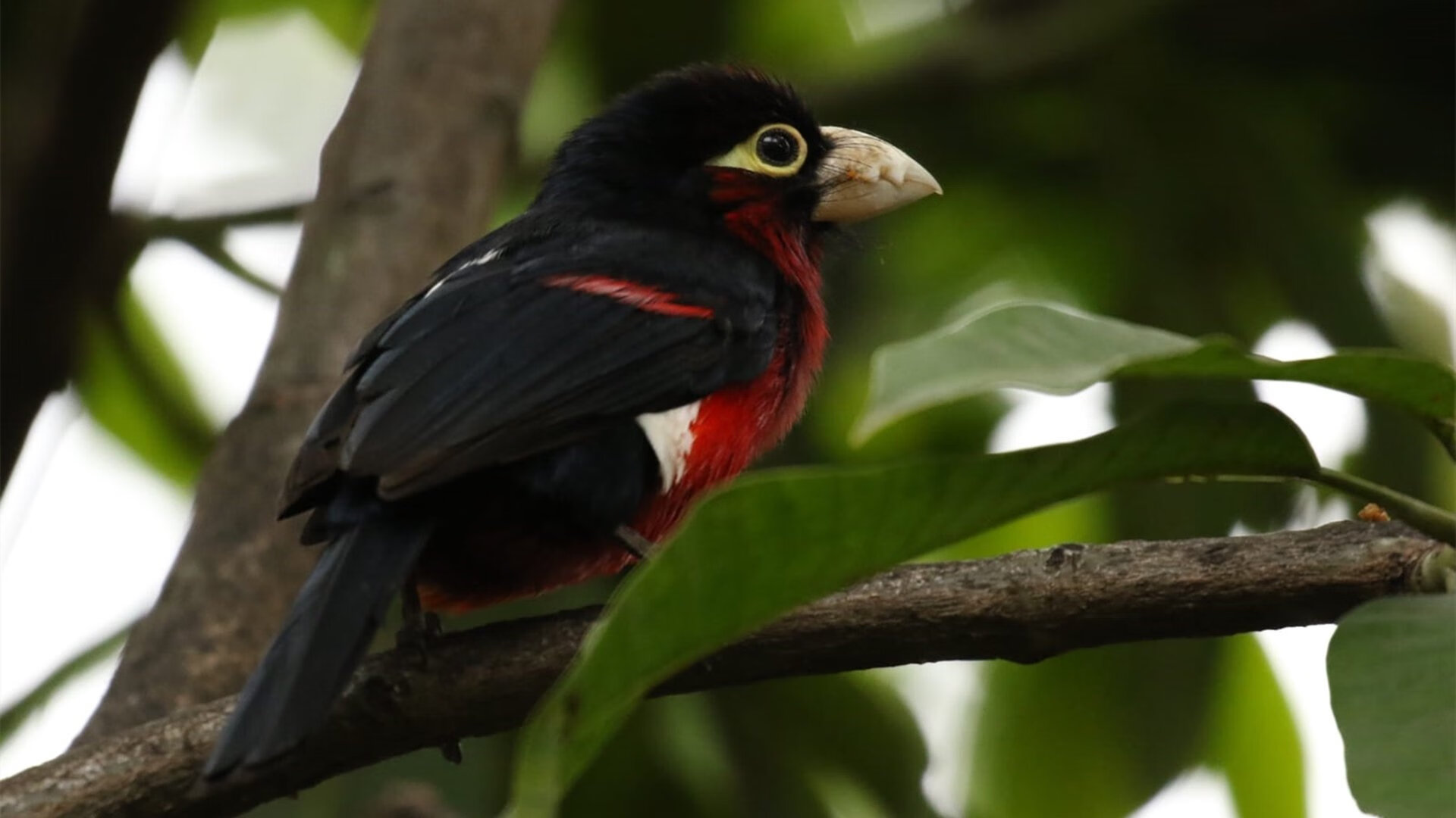国际热身赛国足晋级 球迷对未来充满期待,国足热身赛会直播吗