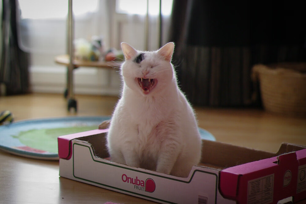 田径比赛纪录频频刷新，田径比赛时间怎么记录