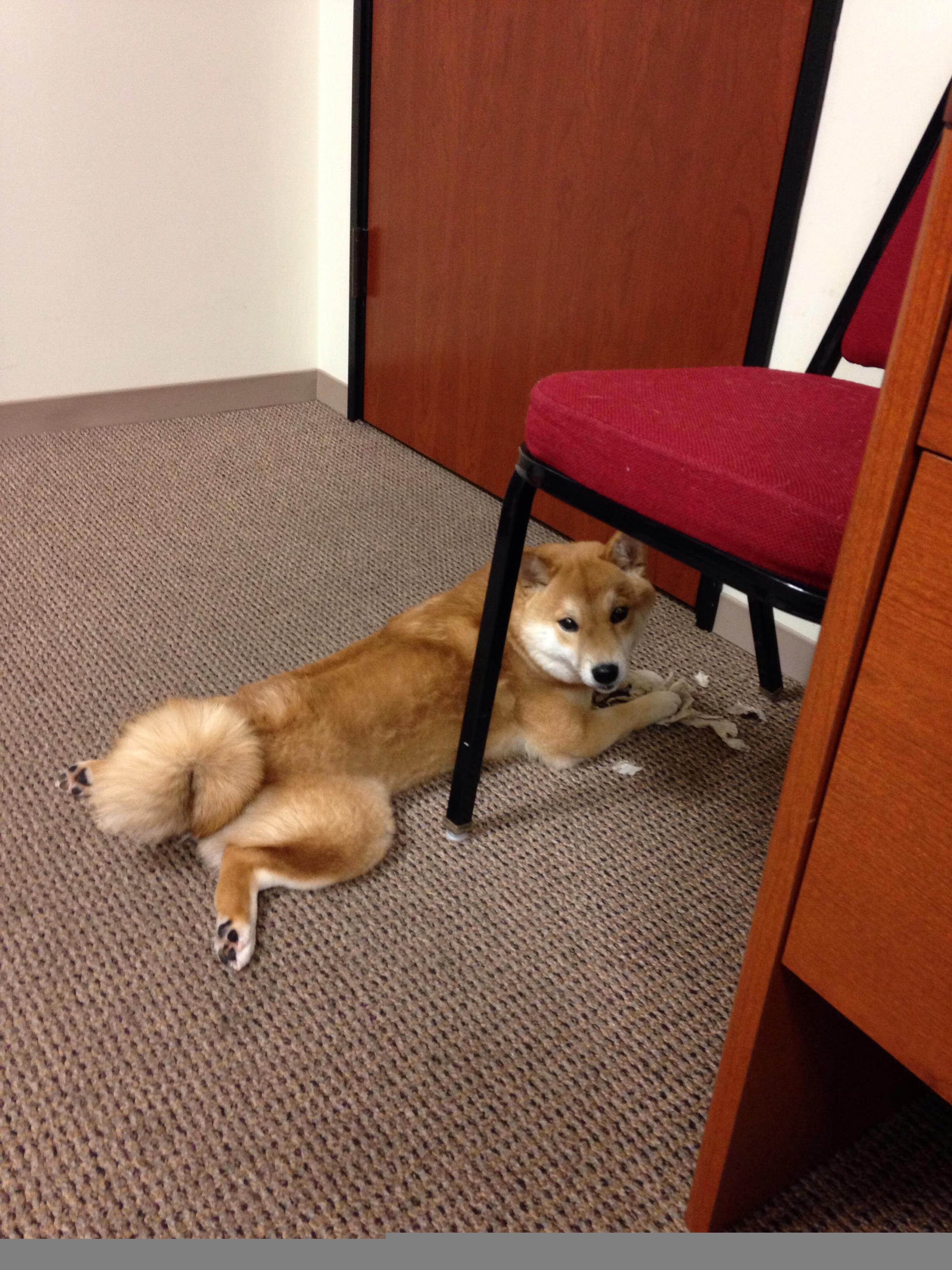 马竞中卫赫尔莫索多次封堵关键射门，马竞客场0-0战平十人赫塔菲