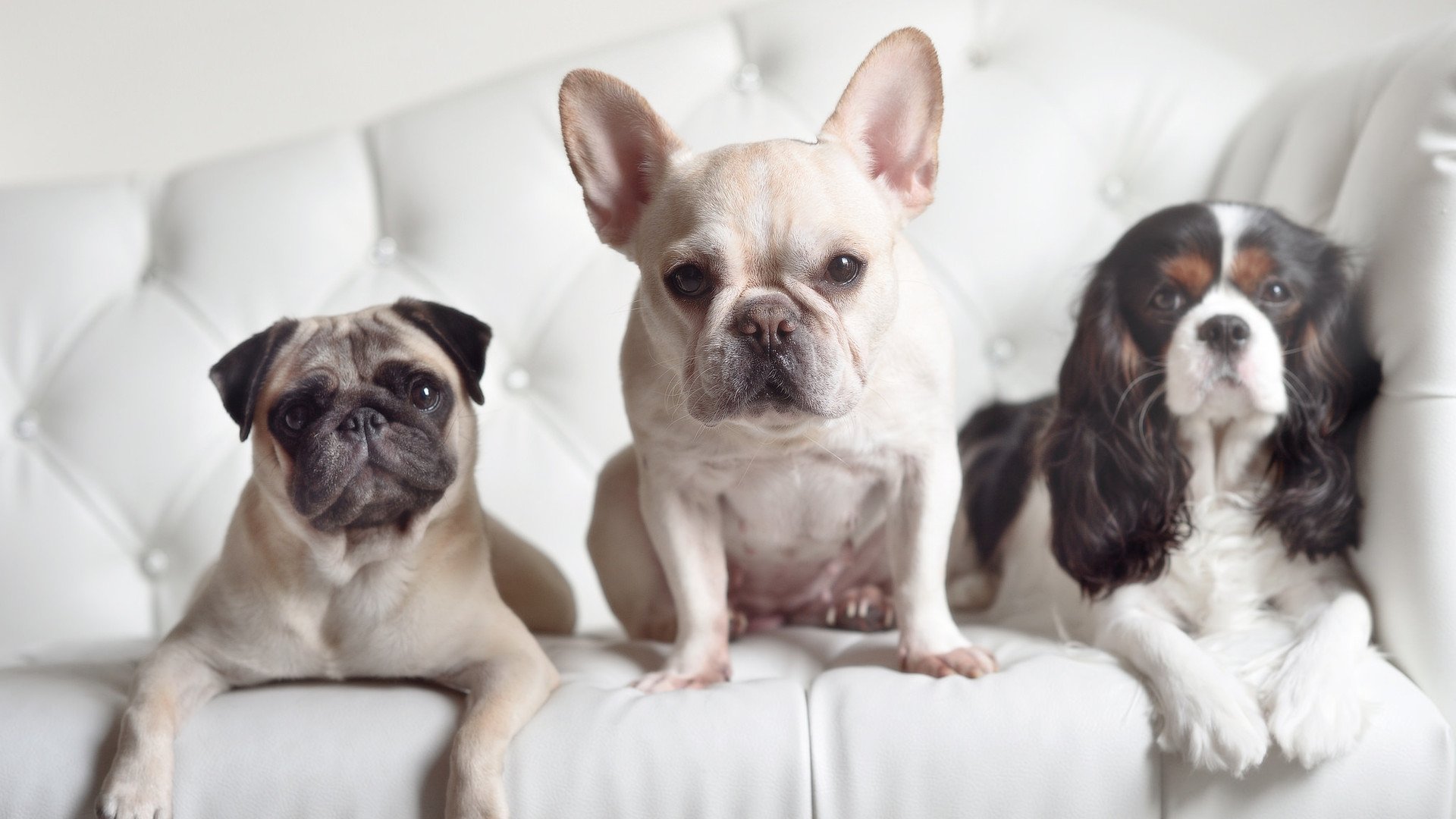 克洛普带领利物浦不断创新战术，追求更高目标