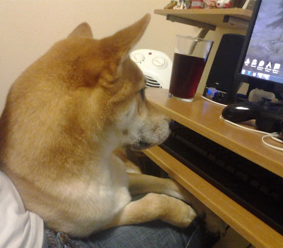 国家体育仲裁委员会通报近期仲裁案件典型案例,体育仲裁条例