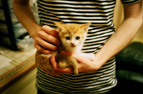 九游娱乐平台-多元包容理念引领橄榄球发展，多元包容标语